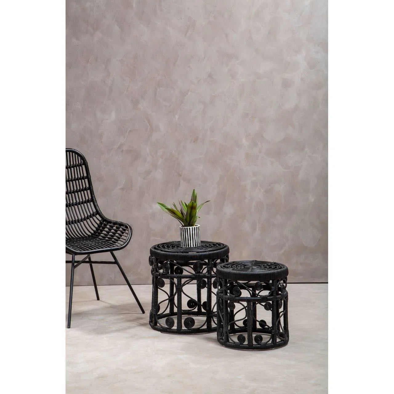 Black rattan accent chair and round side tables with plant on neutral background