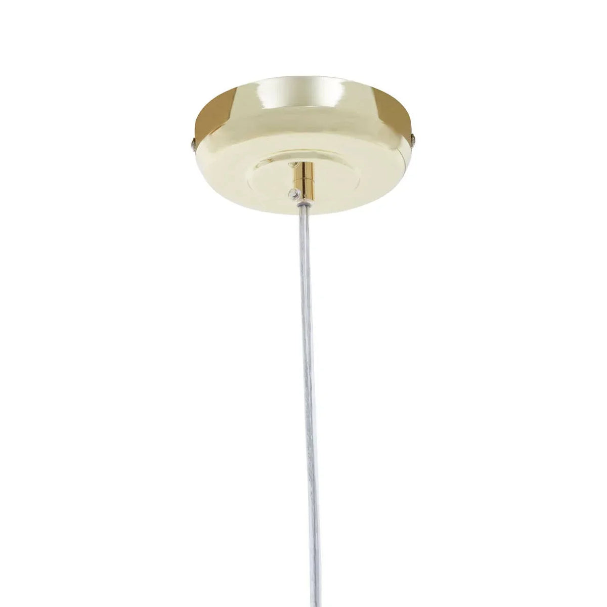 Polished brass ceiling rose with chrome pendant light fitting mount