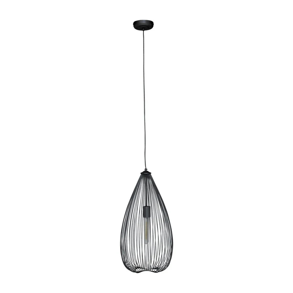 Sleek Teardrop Pendant Light