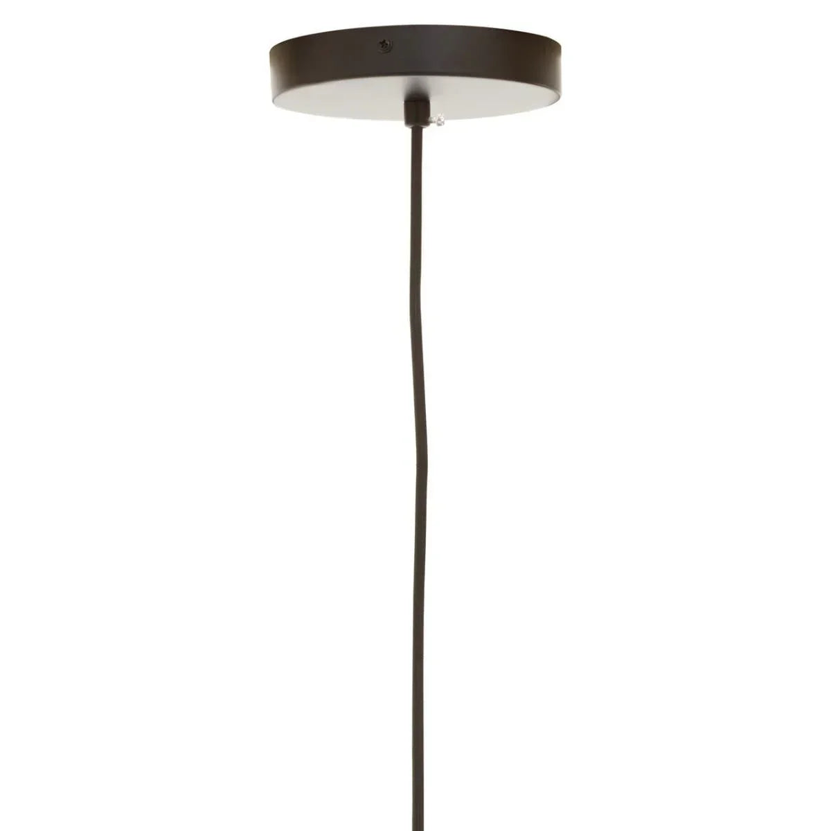 Black pendant light ceiling rose with cord in close-up view