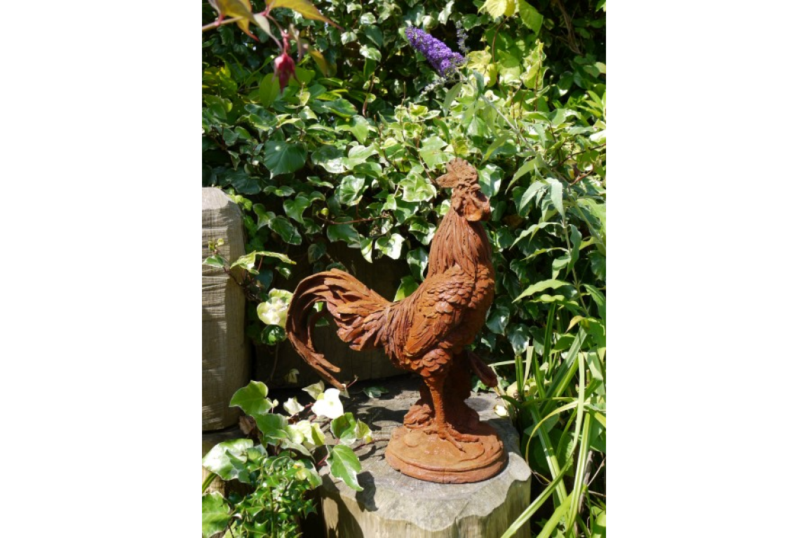 Cockerel (LG/Rusty) 2821 - 2821