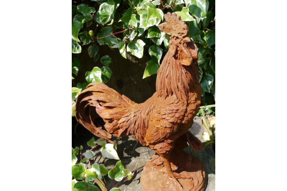 Cockerel (LG/Rusty) 2821 - 2821