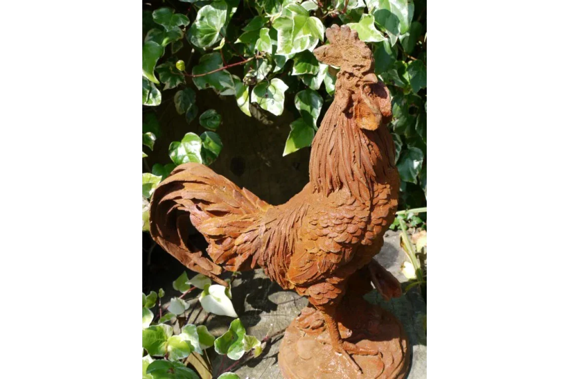 rust effect metal rooster garden ornament surrounded by green ivy leaves