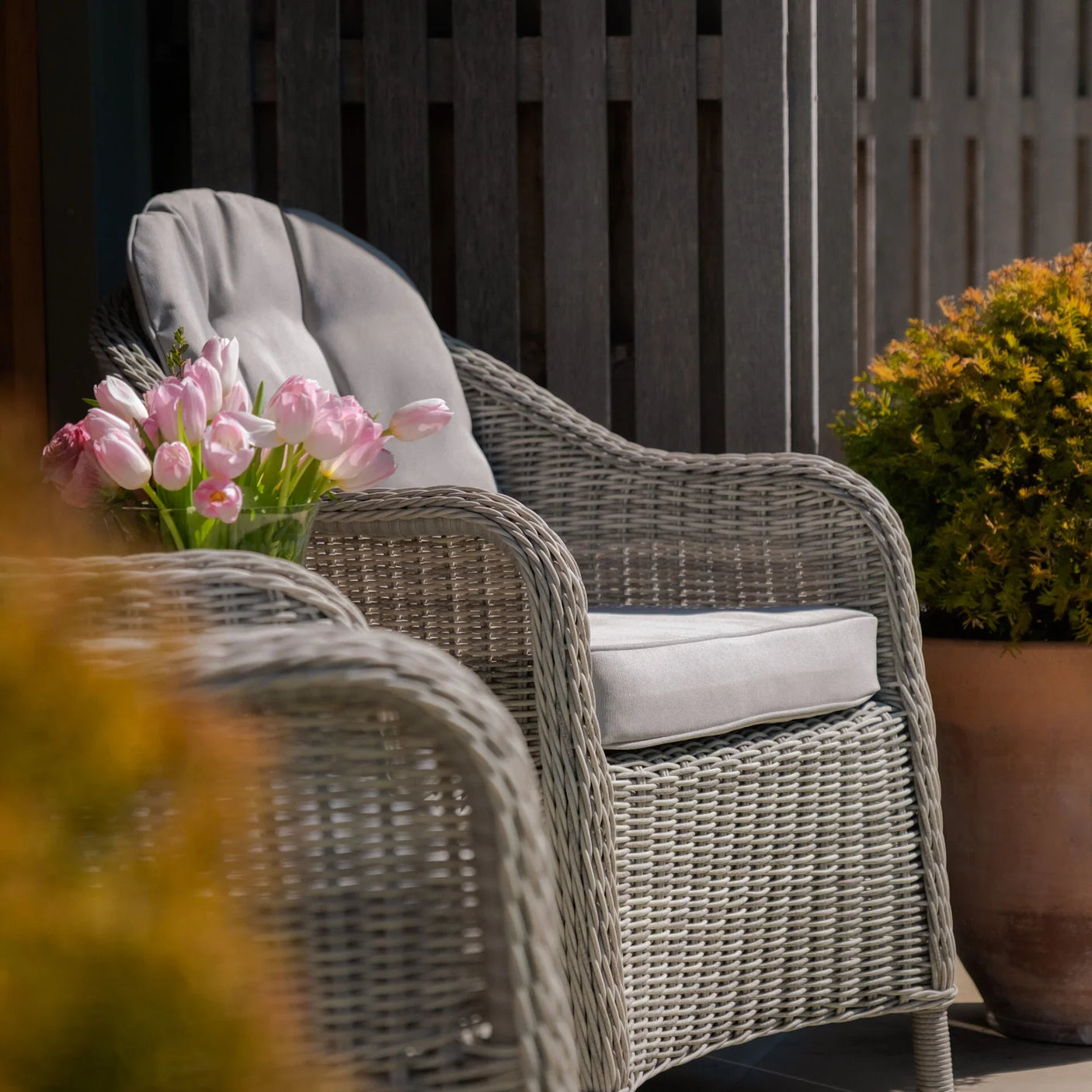 Grey rattan garden armchair with seat cushion on patio, tulips and potted plant nearby