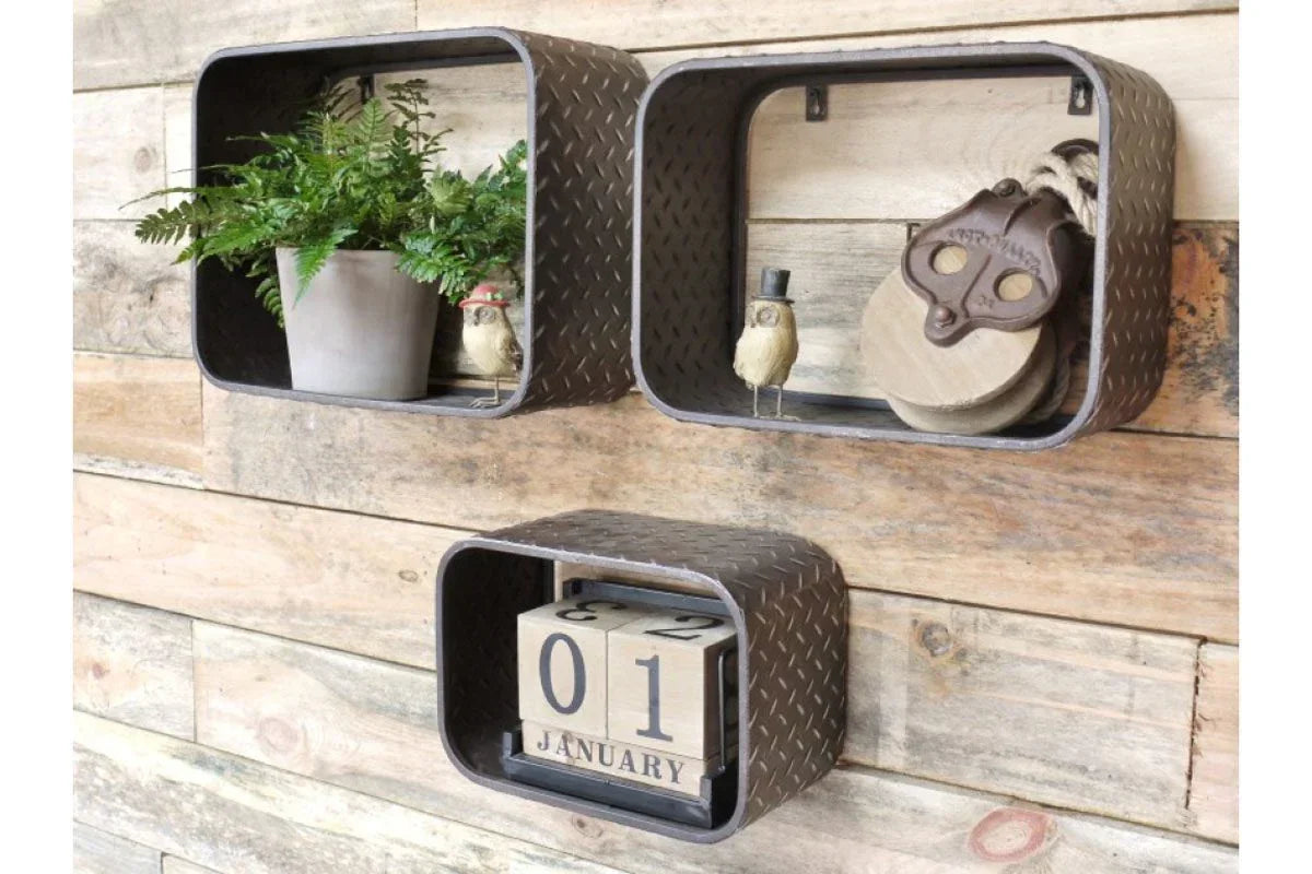 Industrial metal wall shelves on wood panel wall with potted fern and decorative ornaments