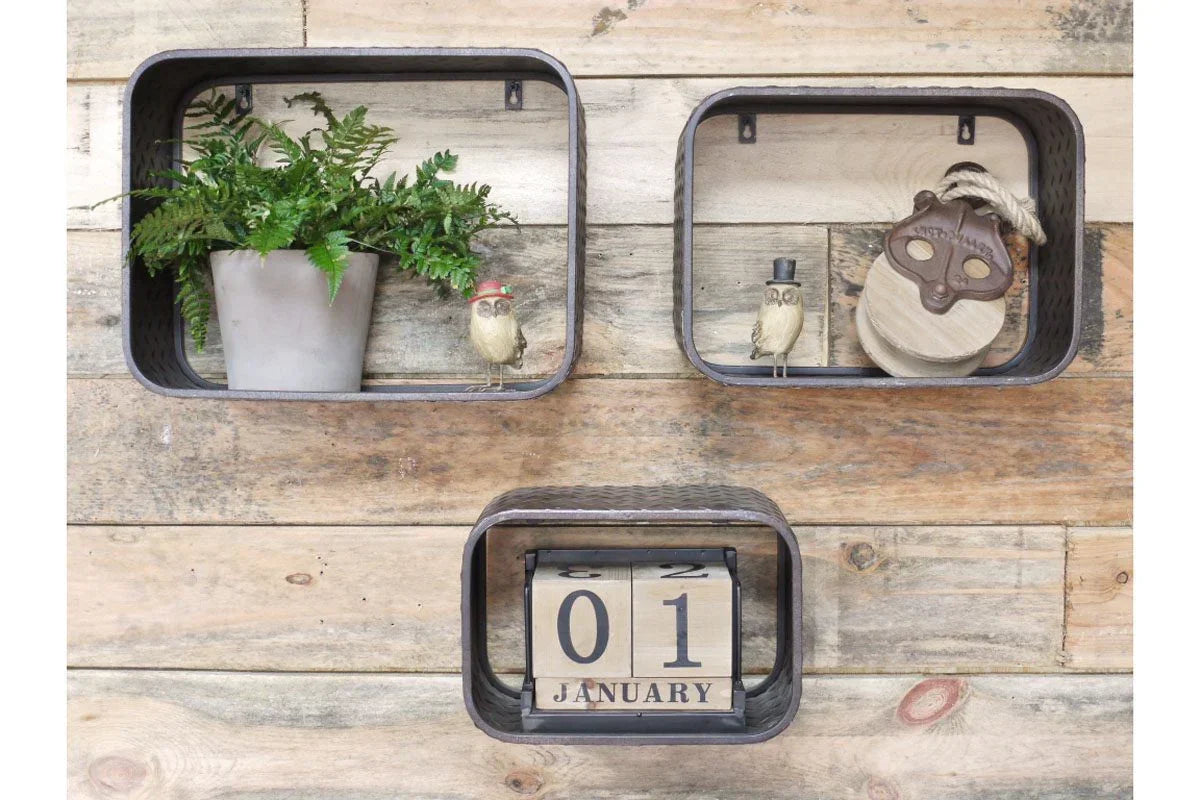 Wall mounted metal box shelves with potted plant, decorative owls, and wooden block calendar