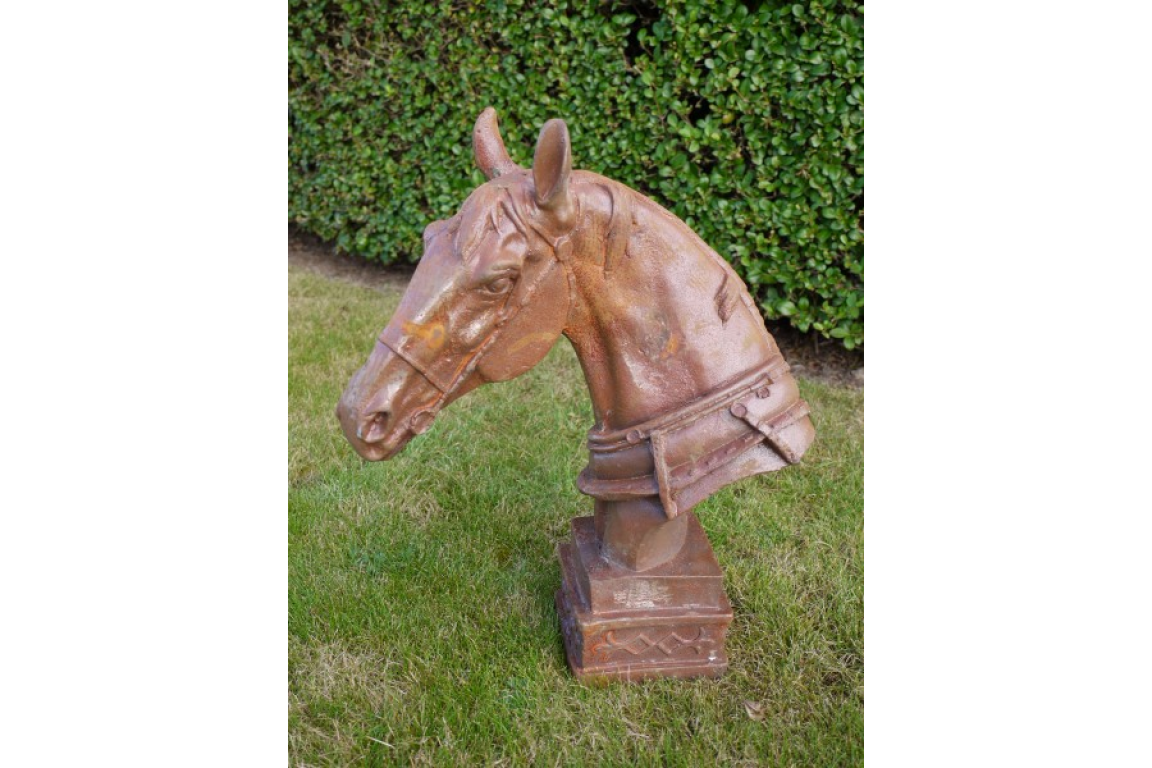Horse Head - 4647