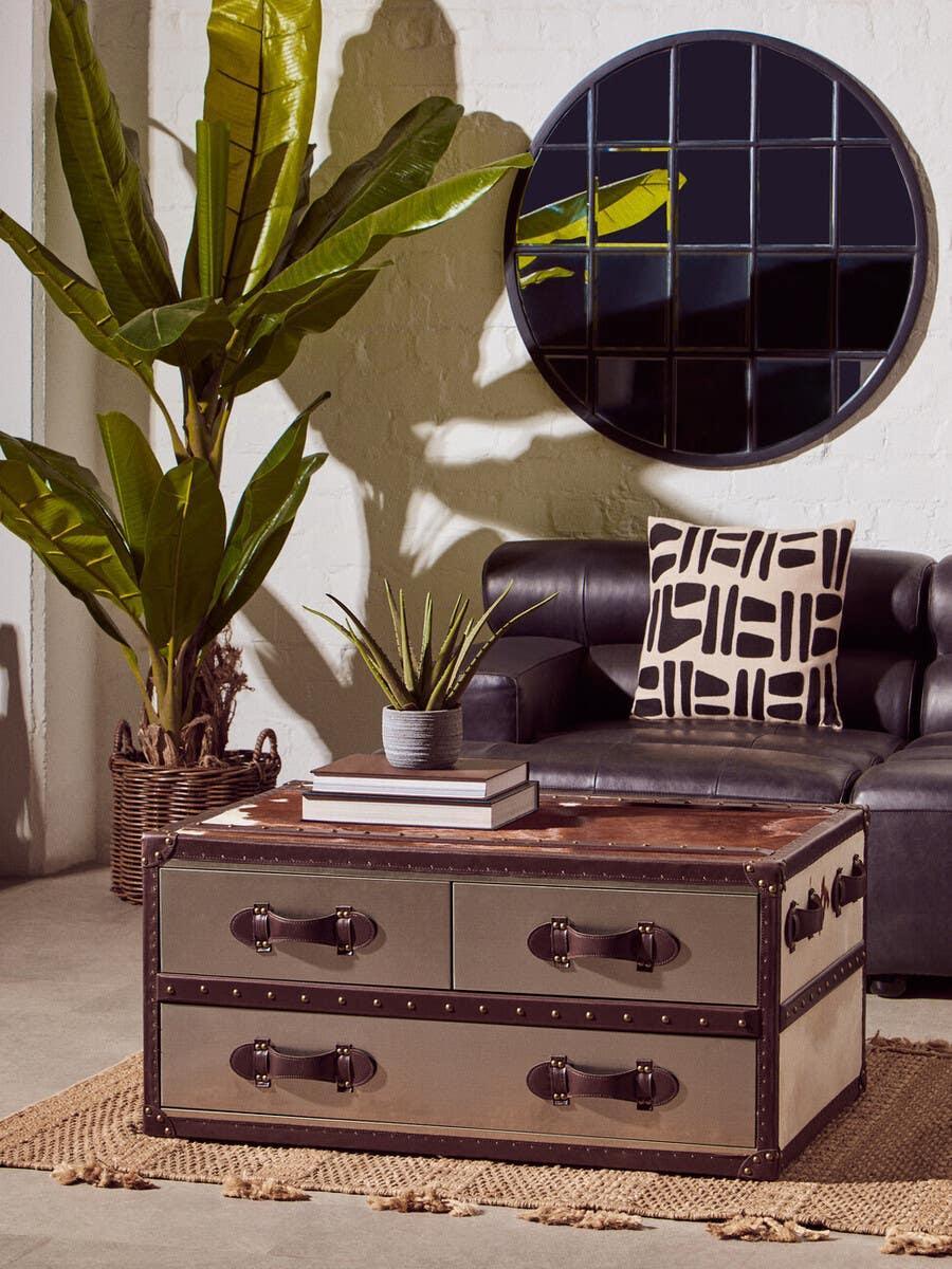 Leather storage trunk coffee table with drawers in living room, large plant and round mirror