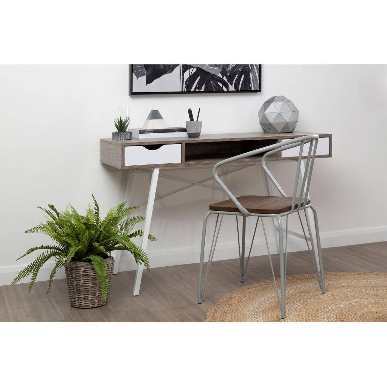 Modern home office desk with metal chair, potted plant, and geometric decor accents
