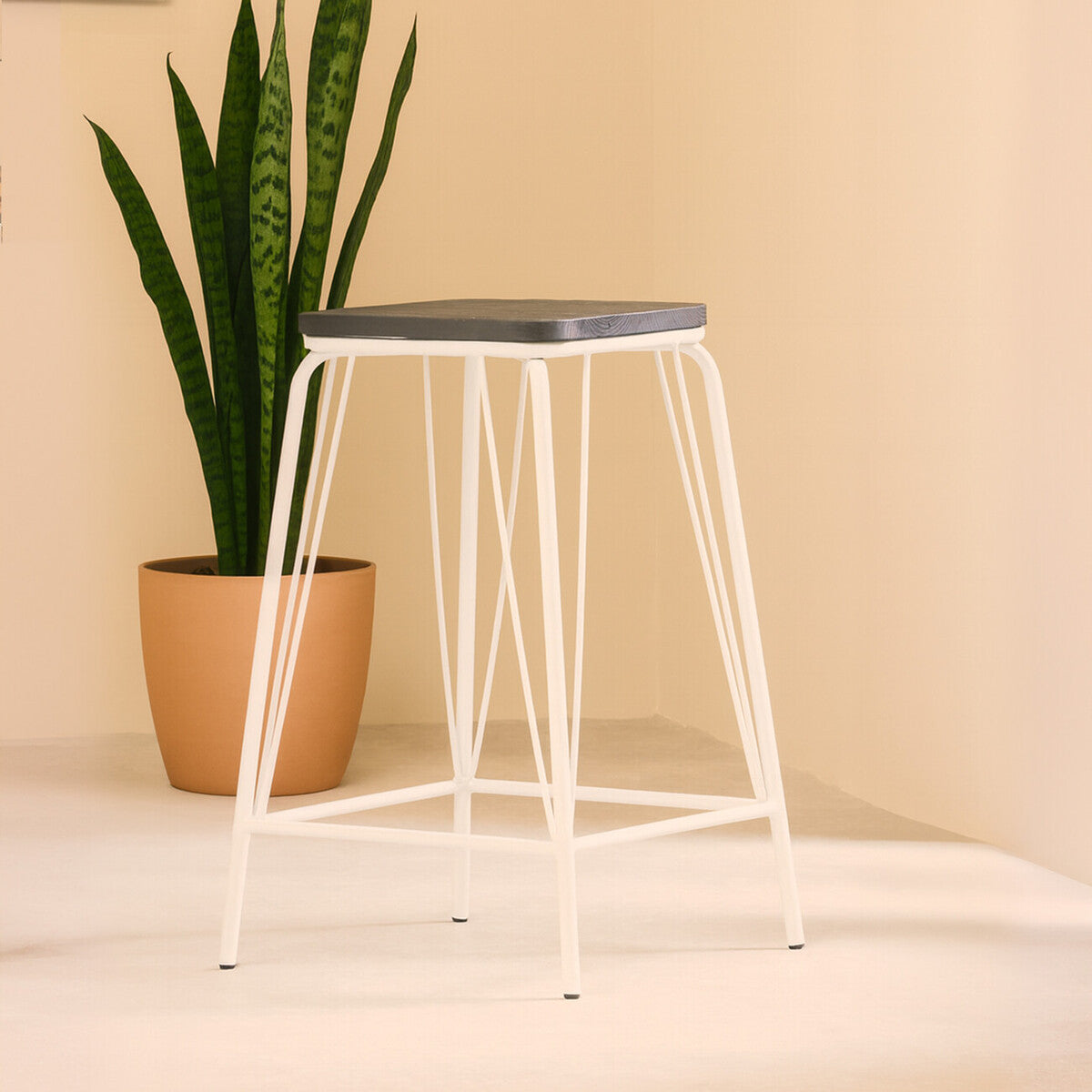White metal stool with a natural elm wood seat, featuring a minimalist design and slender legs, positioned next to a potted plant against a soft, neutral background