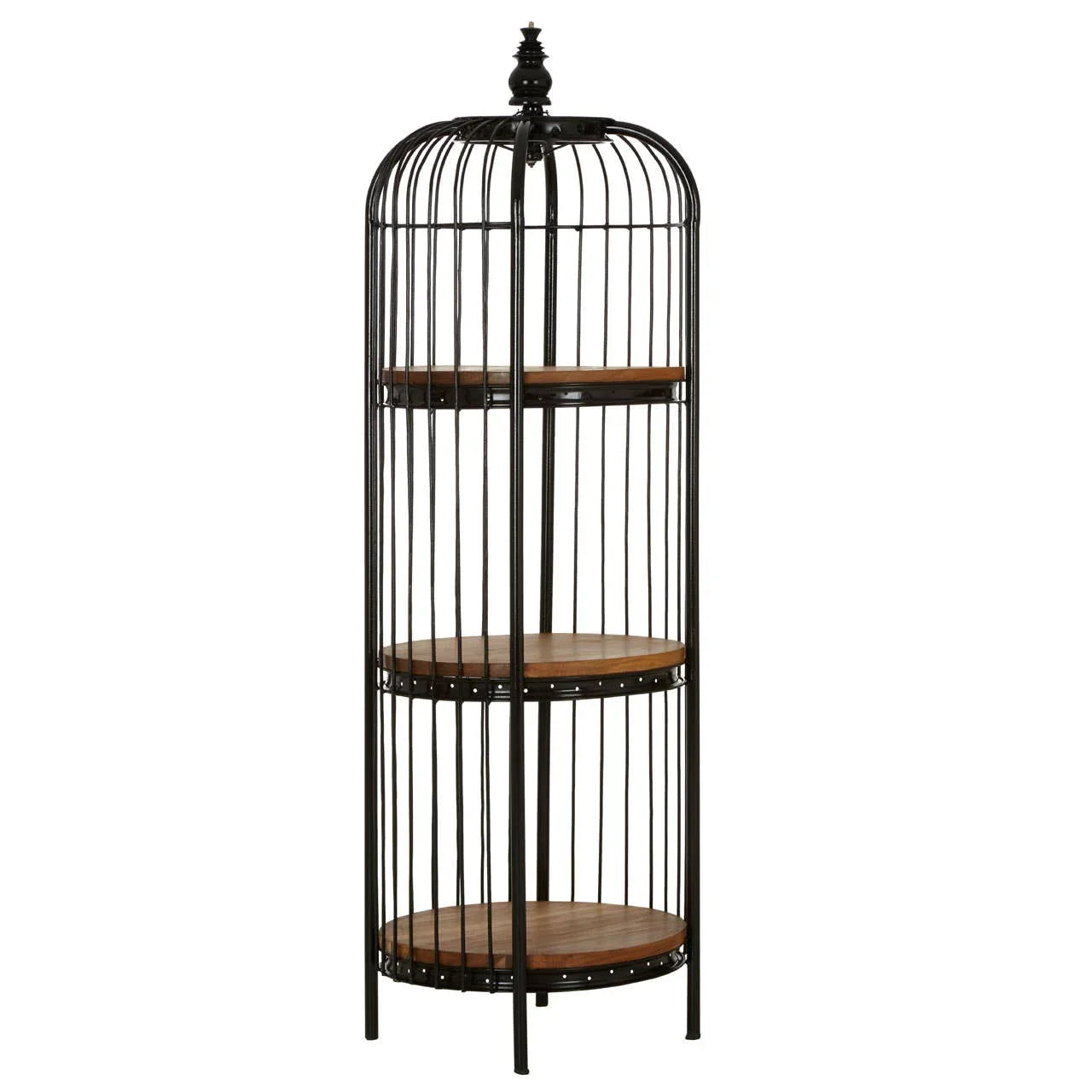 Luxurious Black Birdcage Shelf