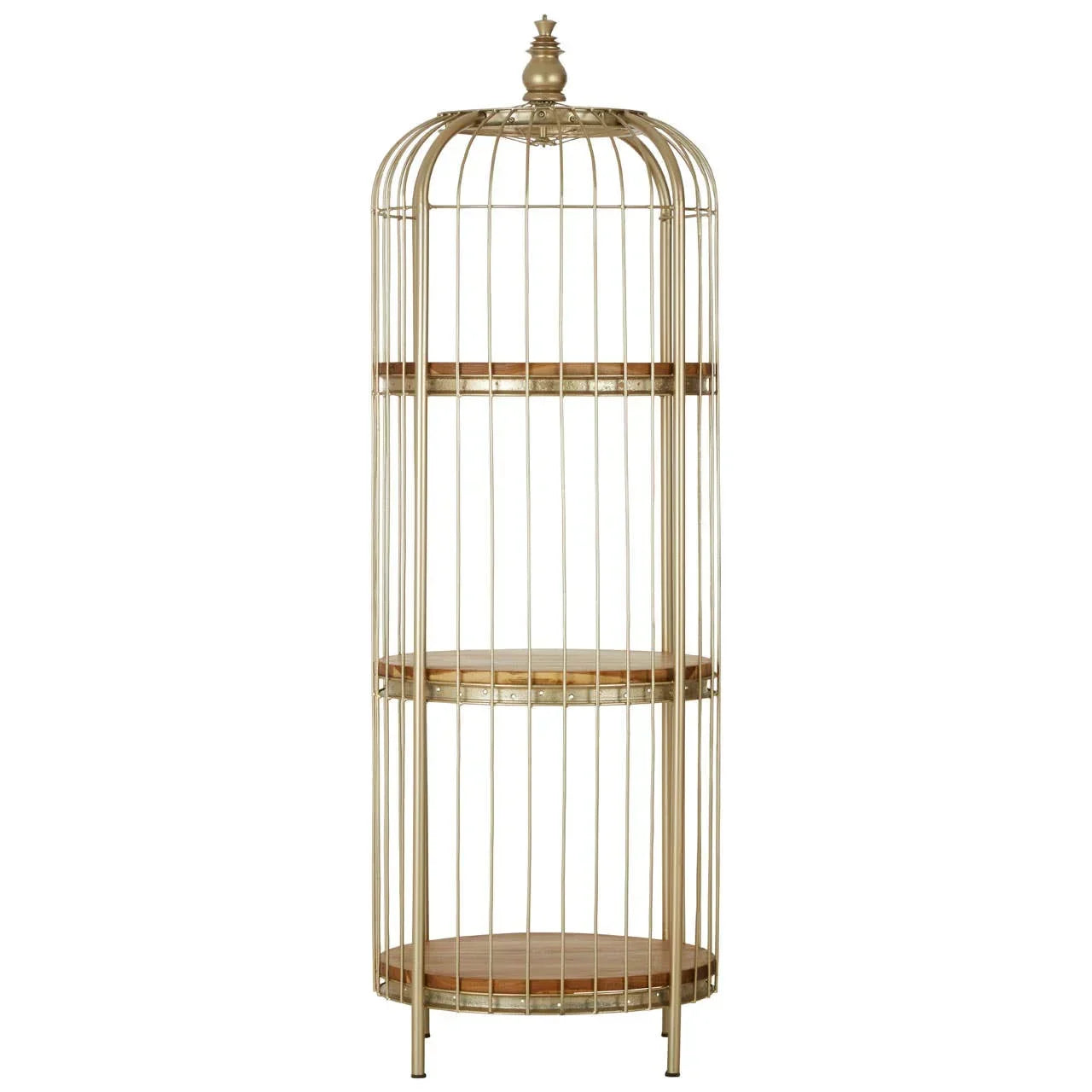 Tall gold metal shelving unit with three circular wooden shelves and cage-style frame