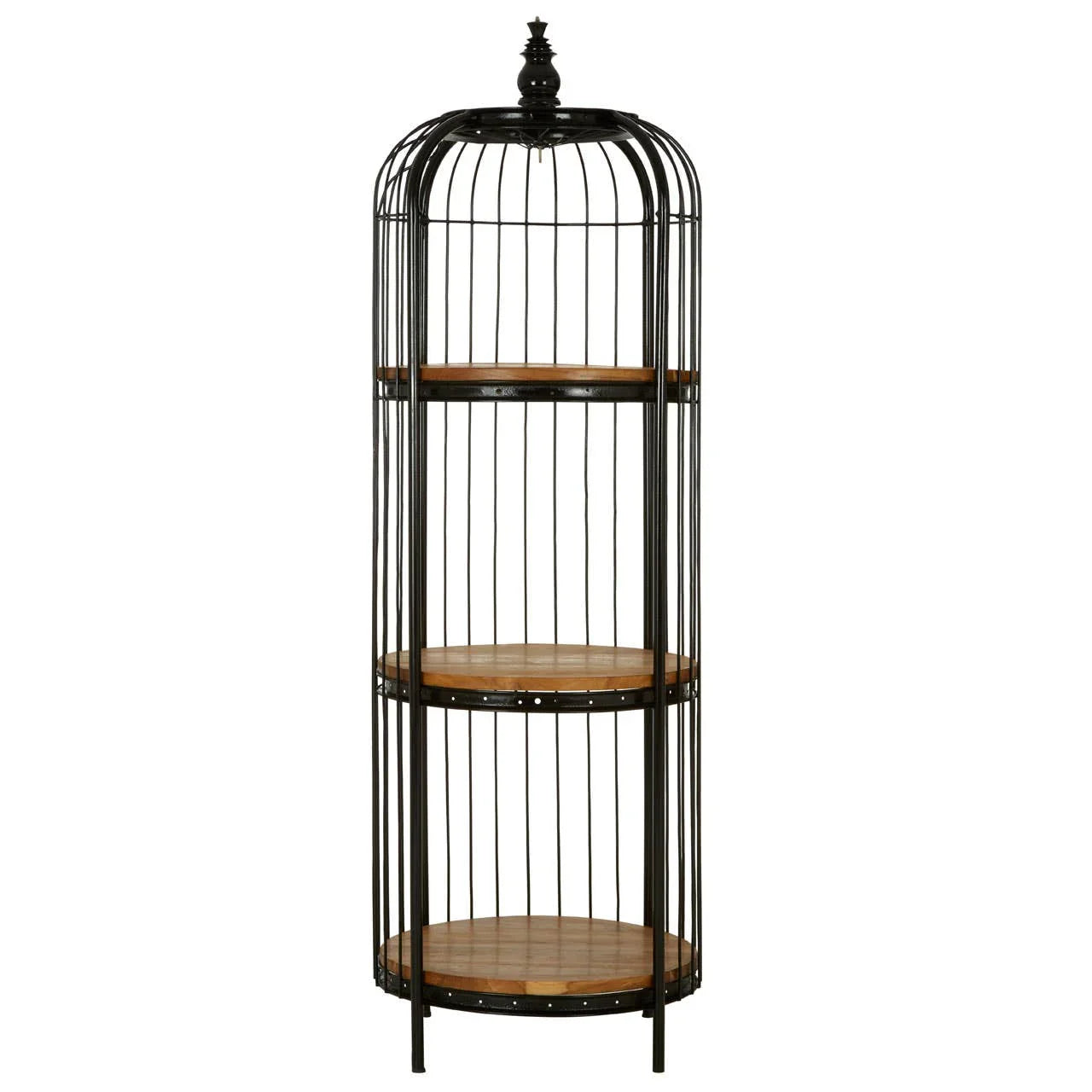Luxurious Birdcage Shelf Unit
