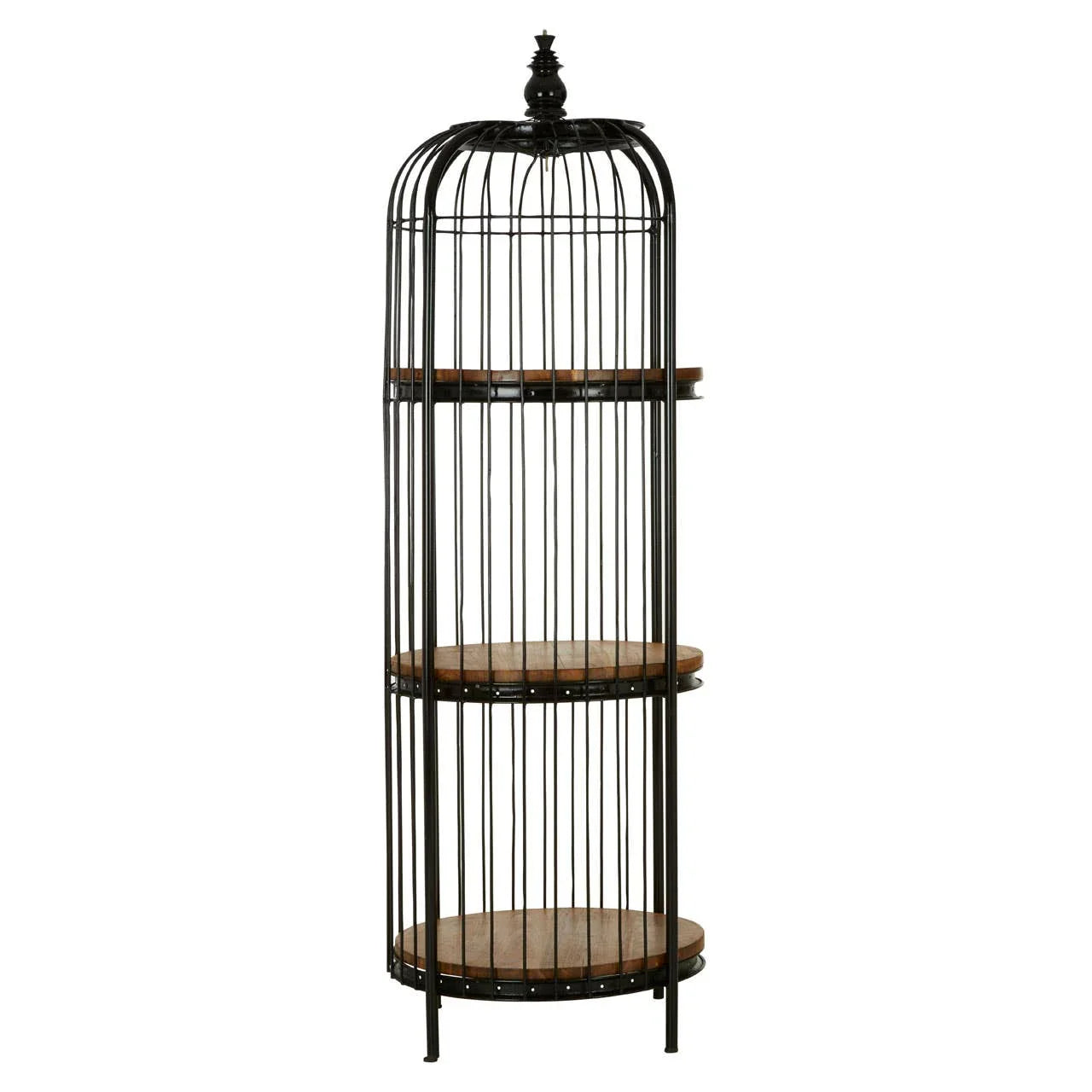 Luxurious Birdcage Shelf Unit
