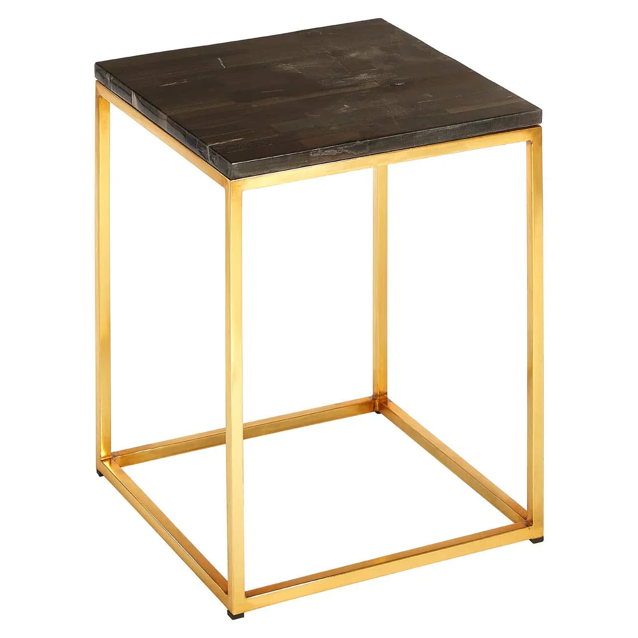Petrified Wood Brass Side Table