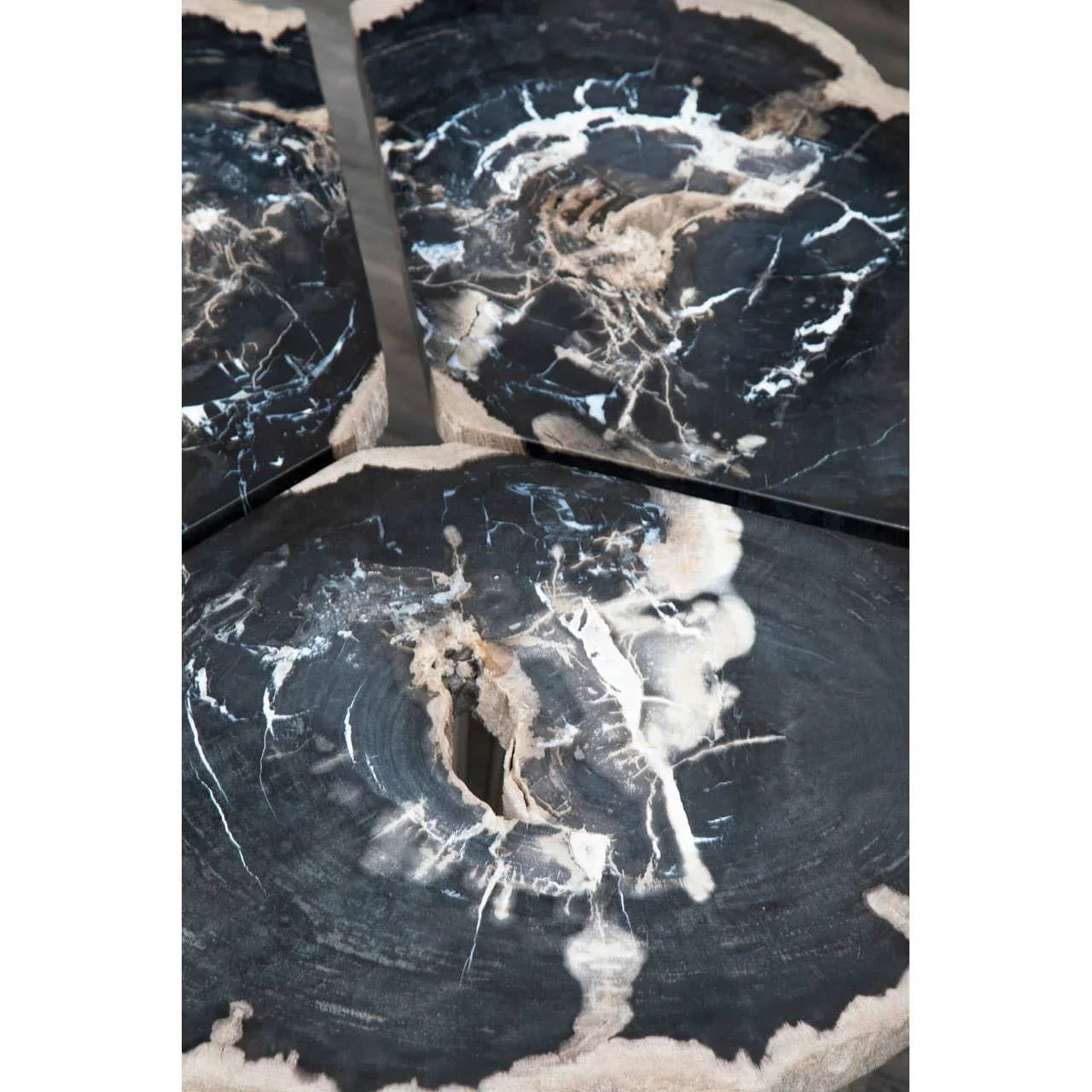 Black petrified wood coffee table top with natural white veining and raw edge finish