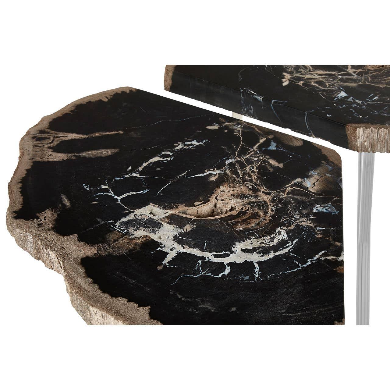 Close view of petrified wood side table top with natural black and cream veining