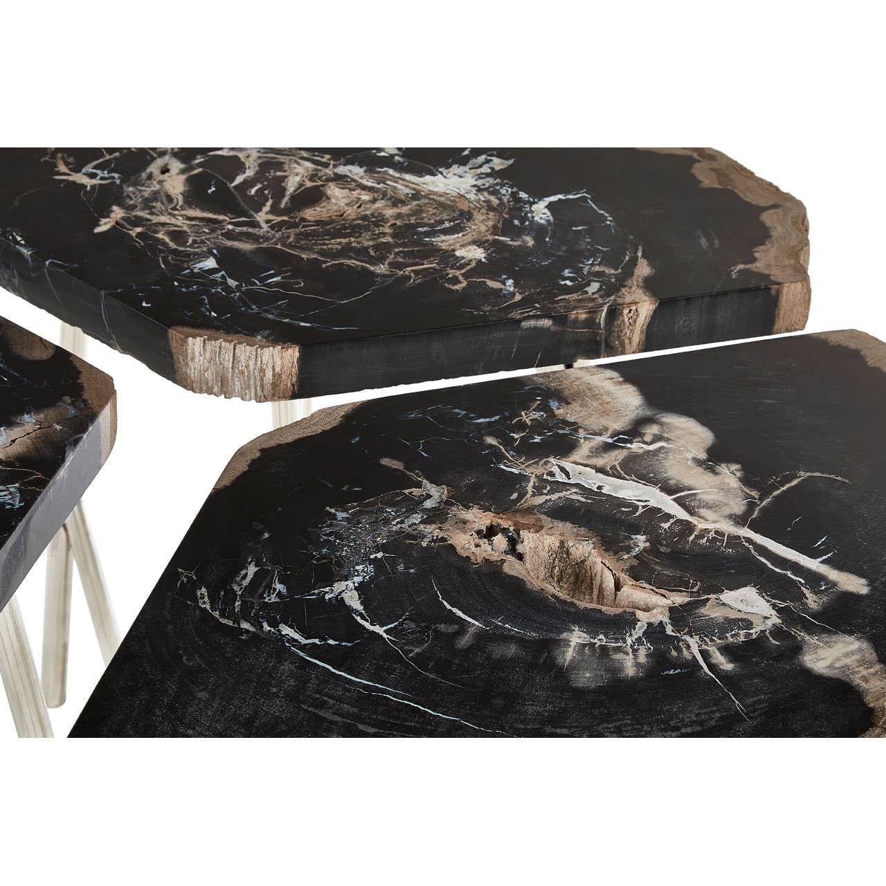 Black petrified wood nesting tables with irregular edges and natural stone texture