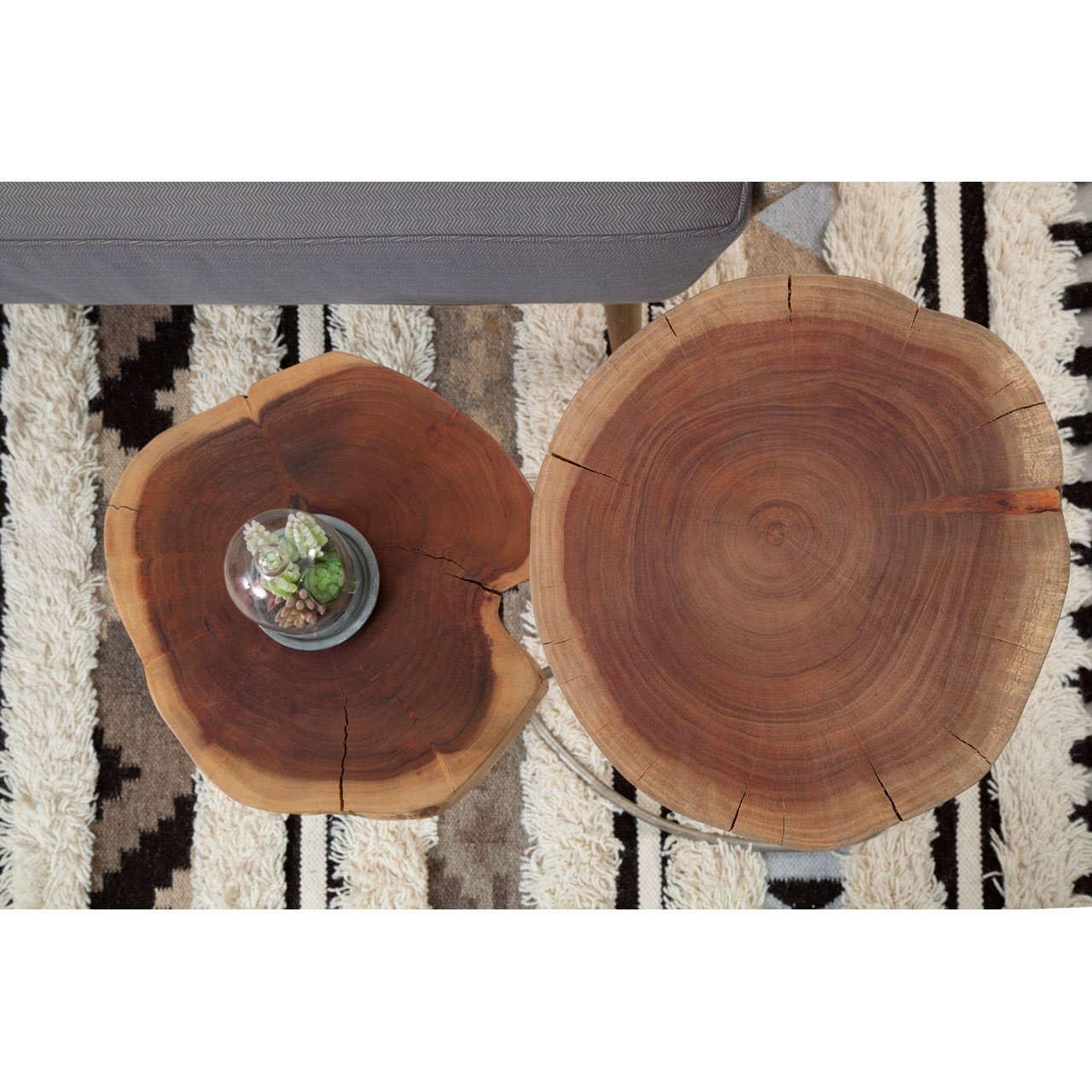 Round wooden coffee tables with natural wood grain on patterned rug, succulent in glass dome