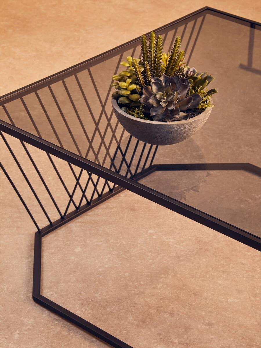 Glass coffee table with black metal frame and round grey planter of assorted succulents