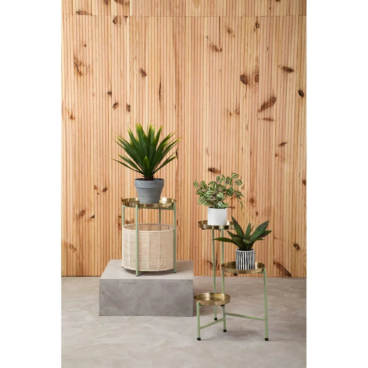 Gold metal plant stands with potted indoor plants against wood panel wall