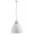Modern Bell Pendant Light