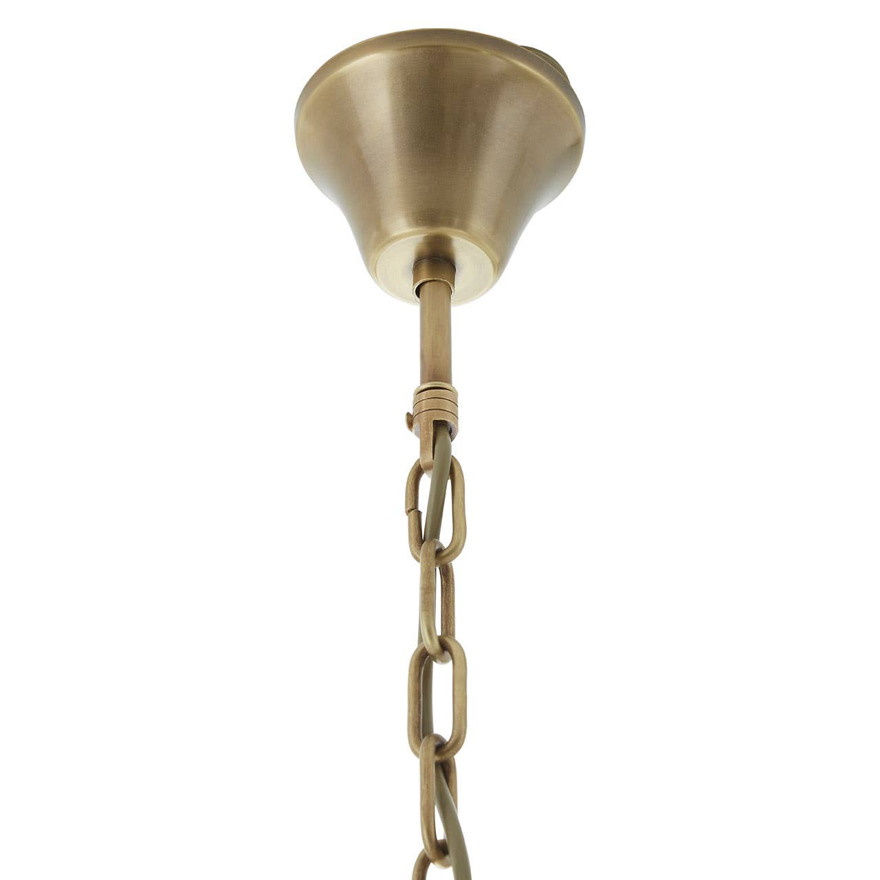 Ornate Brass Pendant Light