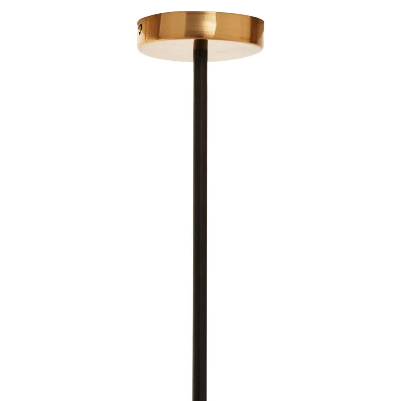 Brushed gold ceiling rose with black pendant light stem, close-up view