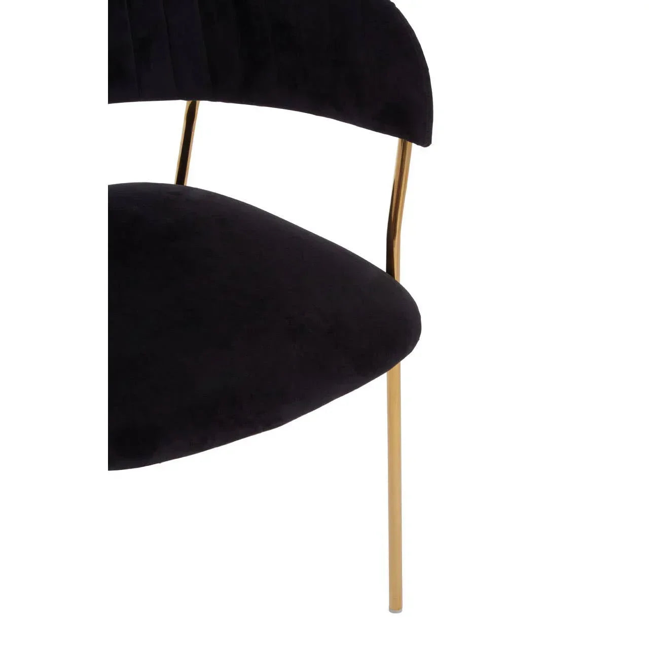 Black velvet dining chair close up with gold metal leg and curved backrest
