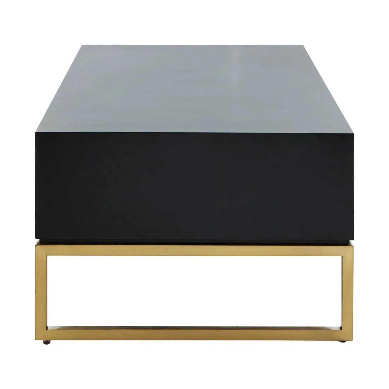 Monochrome Modern Coffee Table