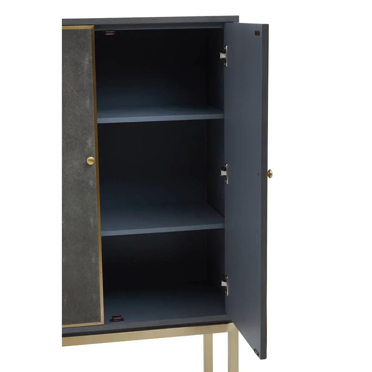 Modern storage cabinet with open door, two interior shelves, brass frame and handles