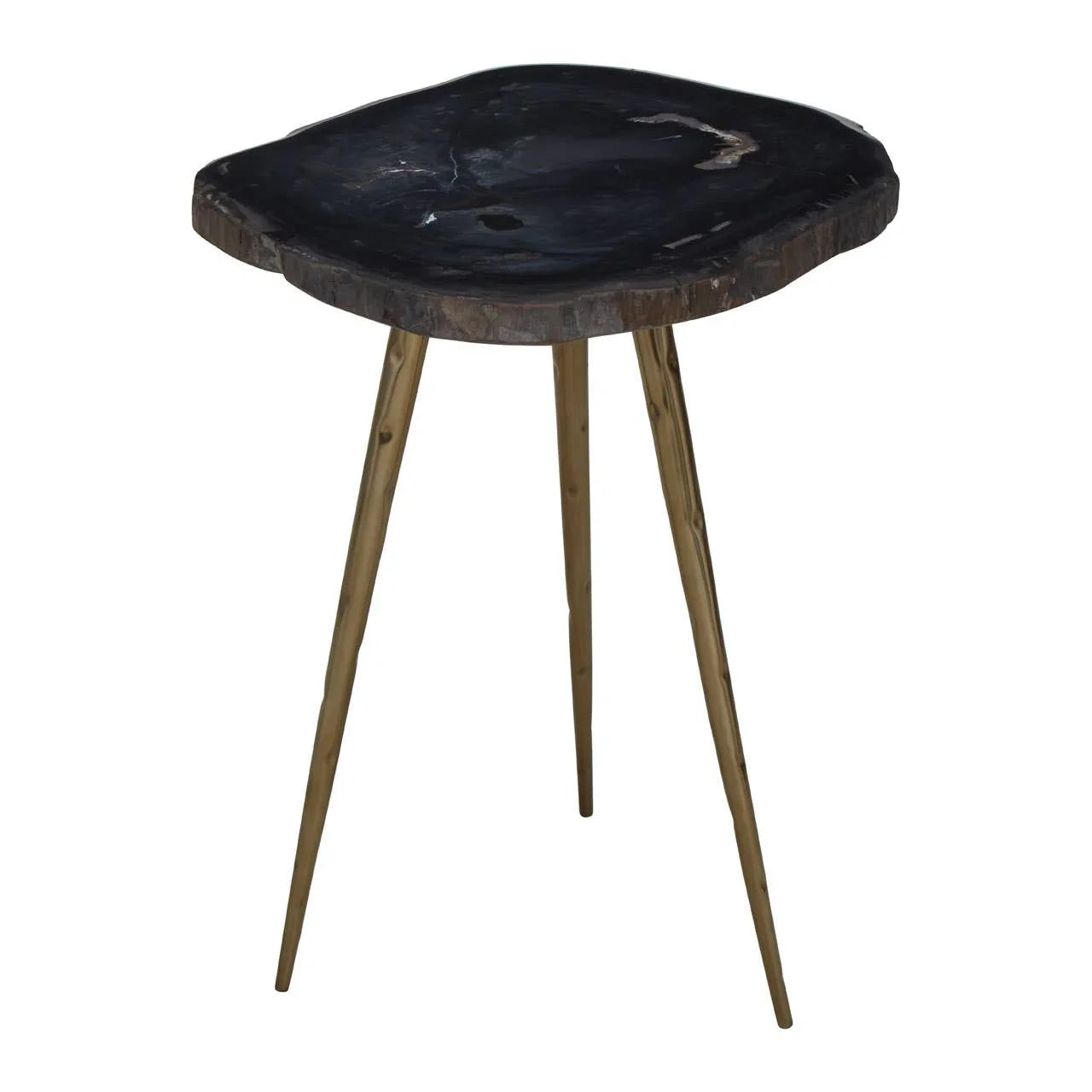 Petrified Wood Brass Side Table