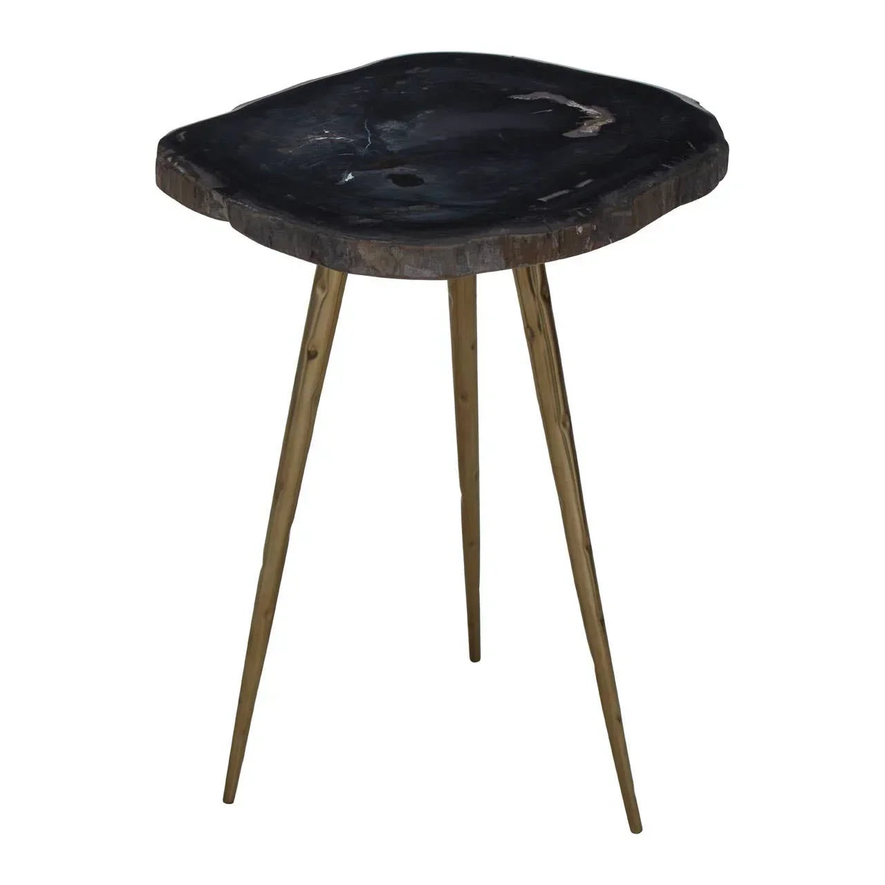 Black petrified wood side table with natural edge and three tapered wooden legs