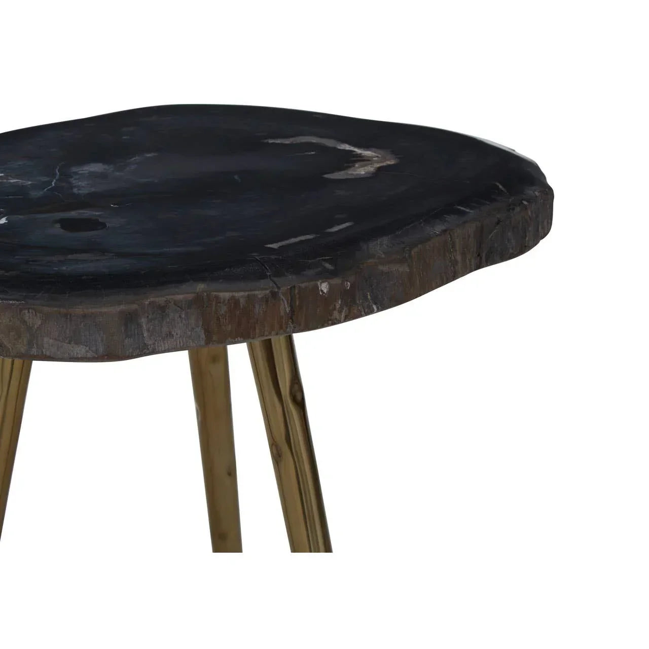 Black petrified wood side table with irregular top and gold legs
