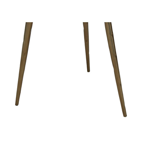 Petrified Wood Brass Side Table