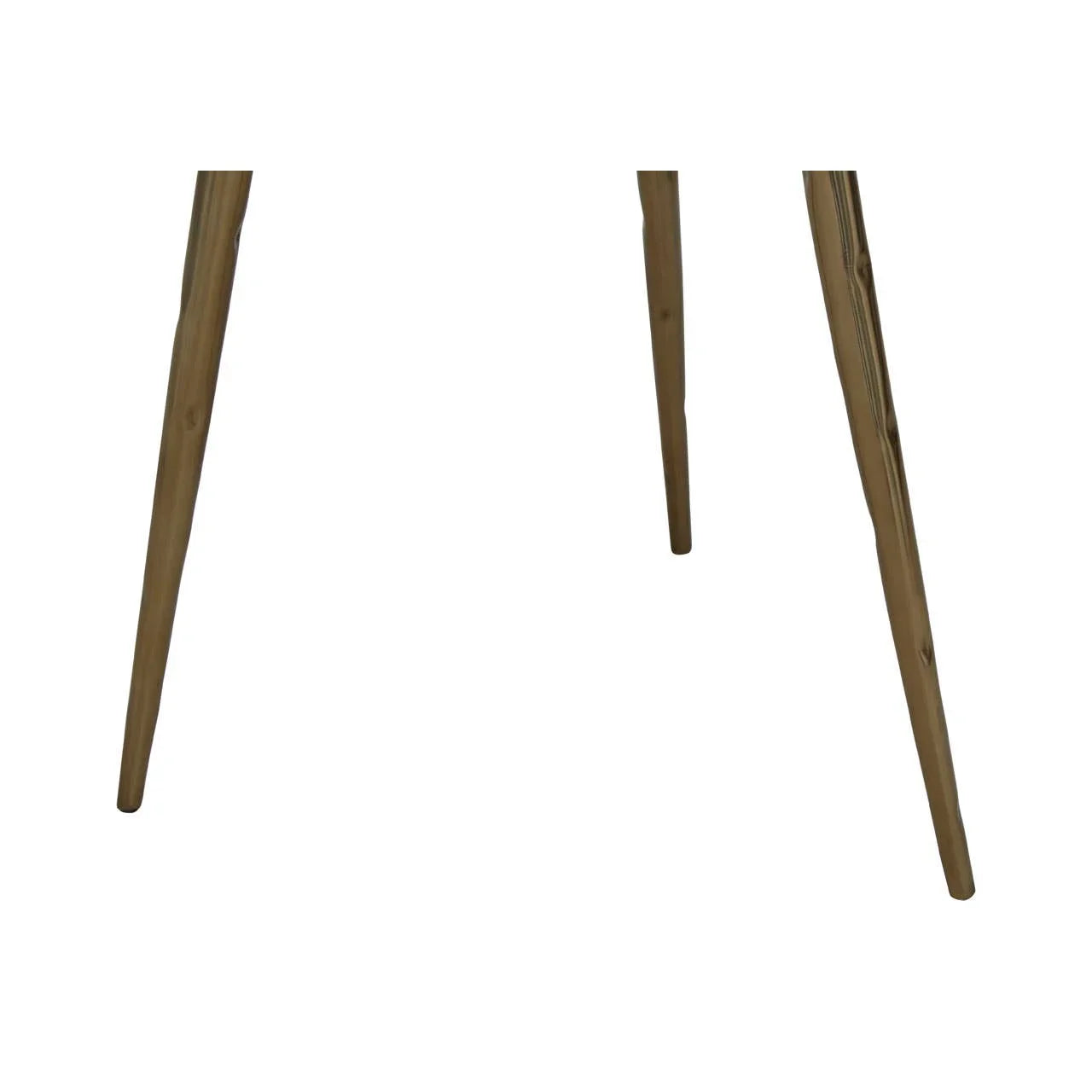 Petrified Wood Brass Side Table