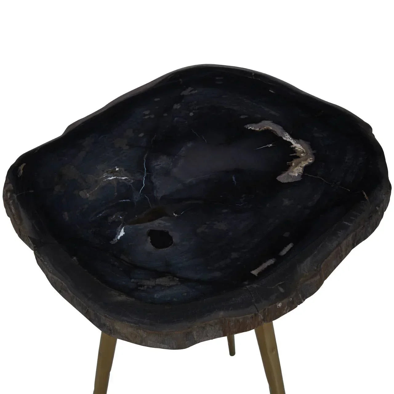 Black petrified wood side table with natural live edge and gold legs, angled top view