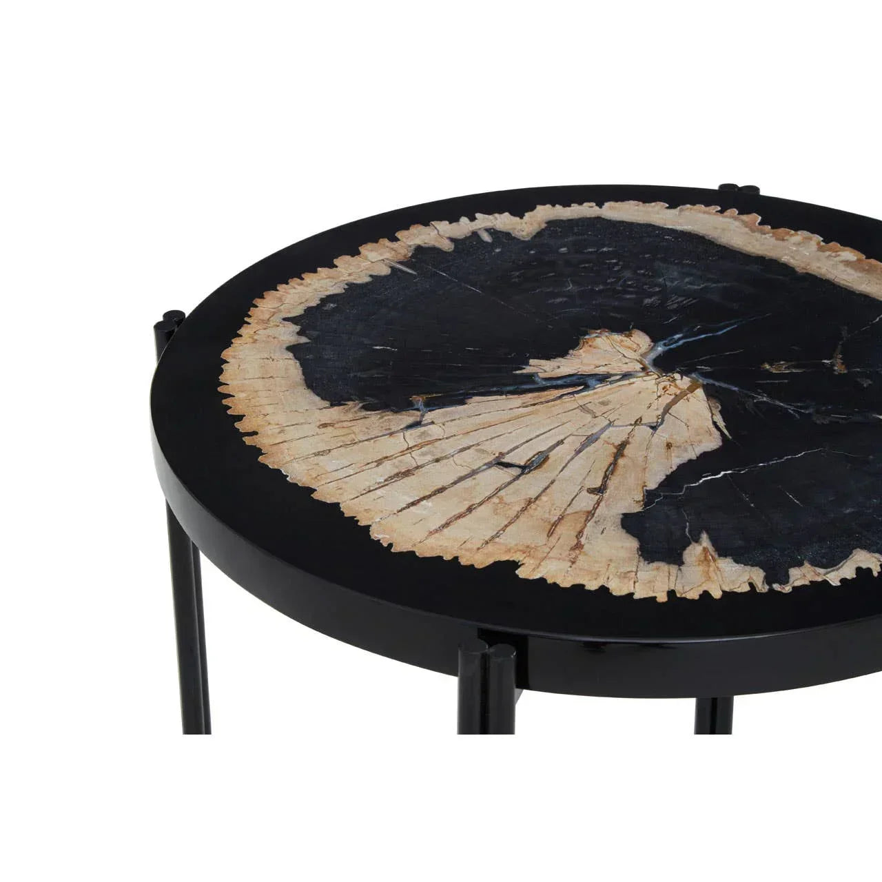 Round side table with black metal legs and petrified wood top