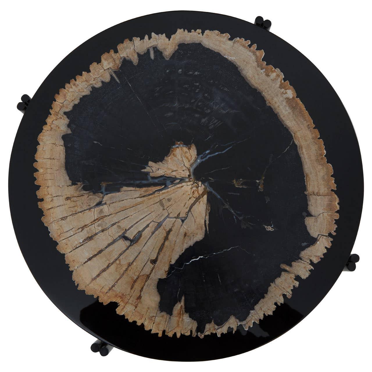 Fossil Wood Side Table