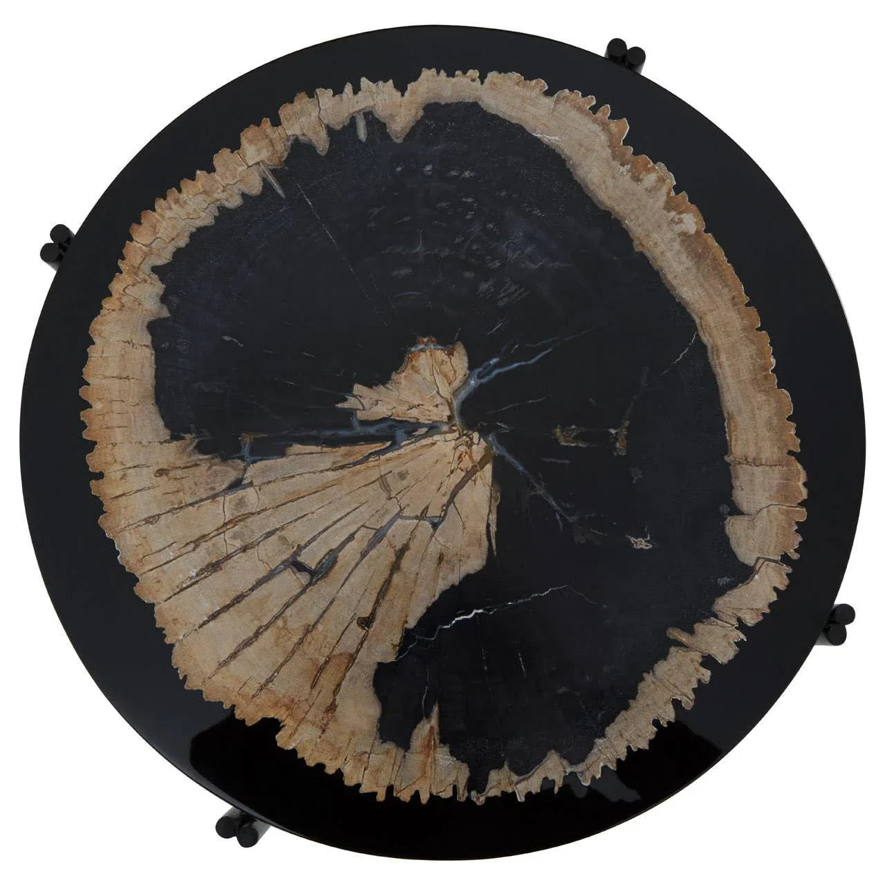 Round black petrified wood coffee table top with natural beige and dark grain details