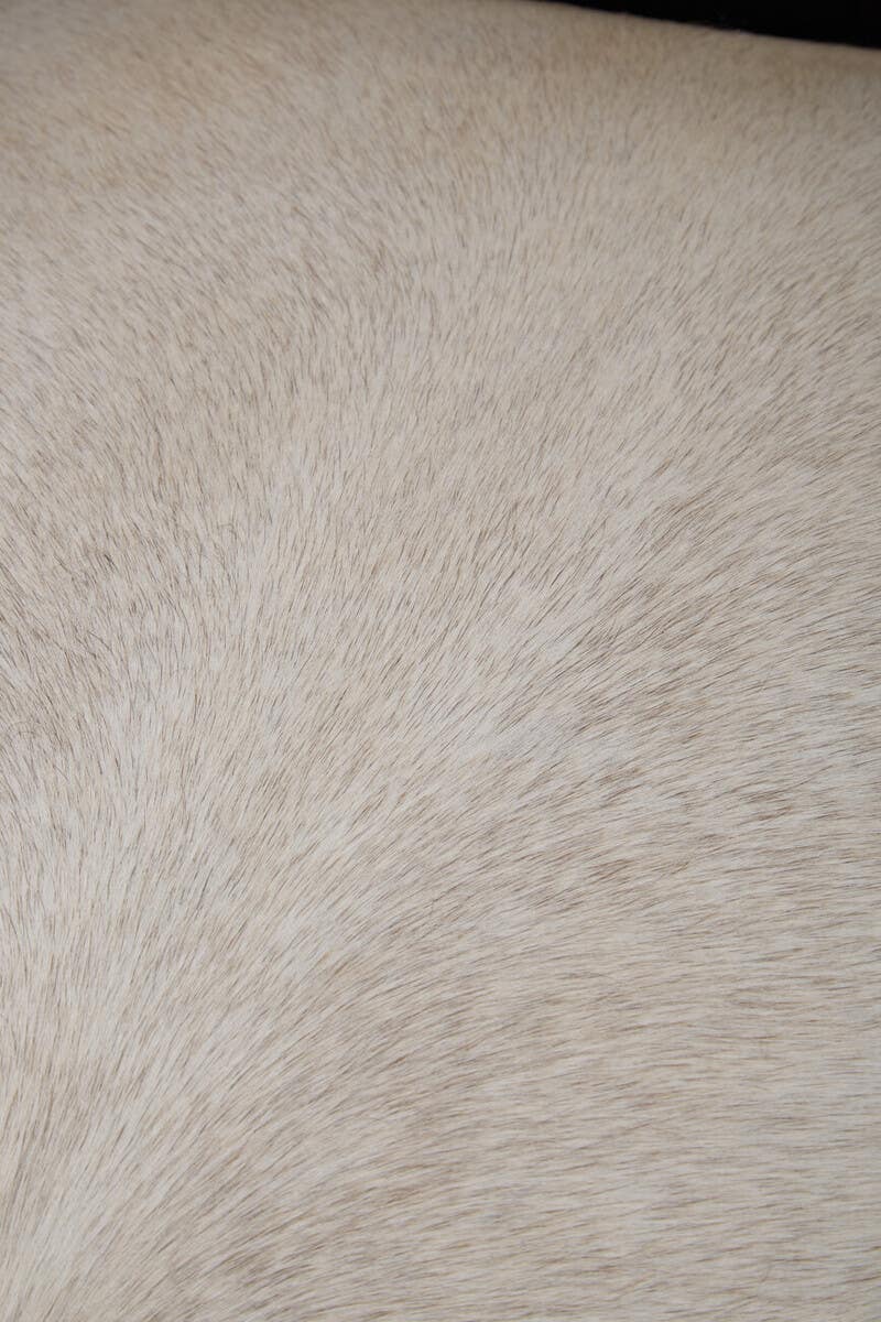 Luxe Black Alligator Armchair