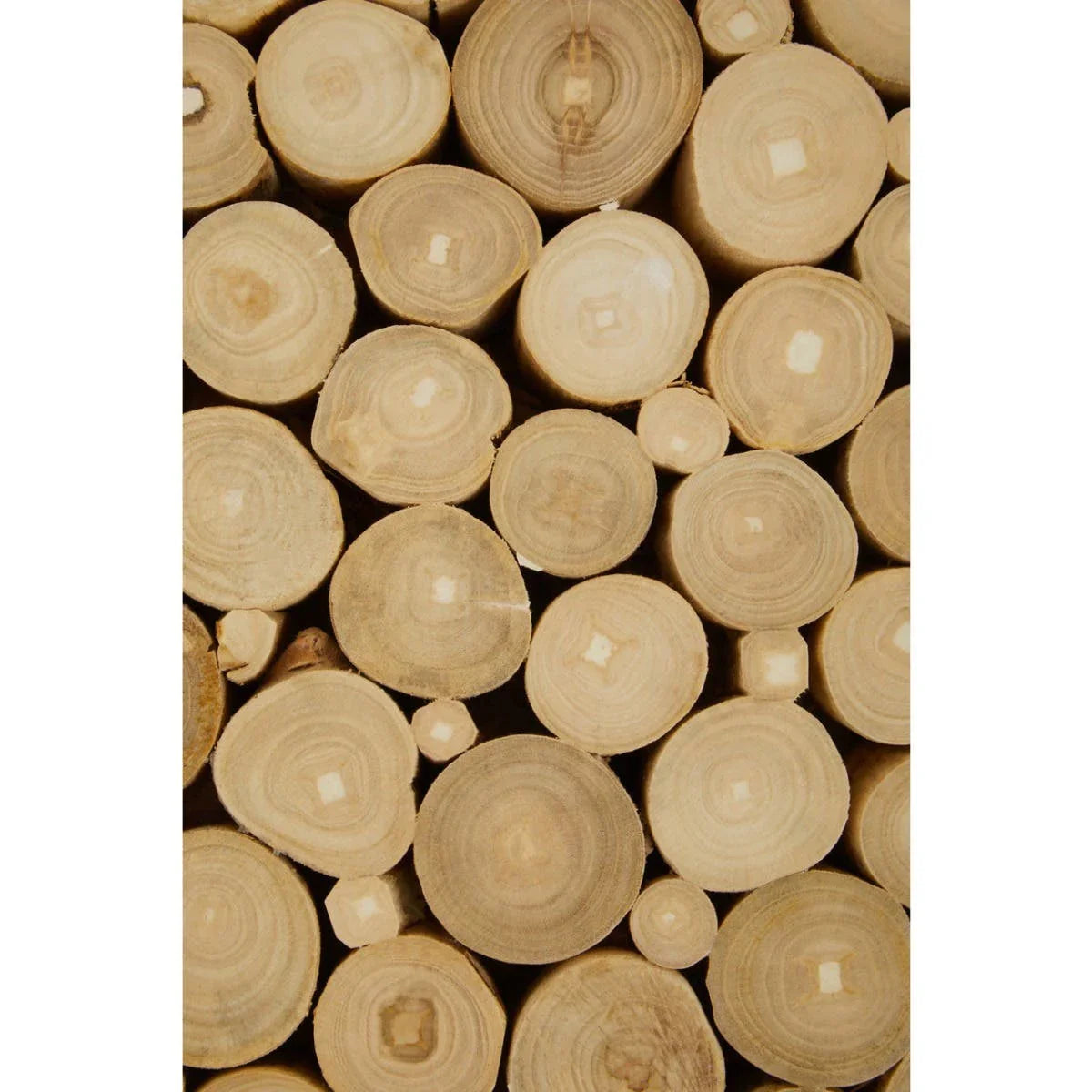 Rustic Teakwood Coffee Table