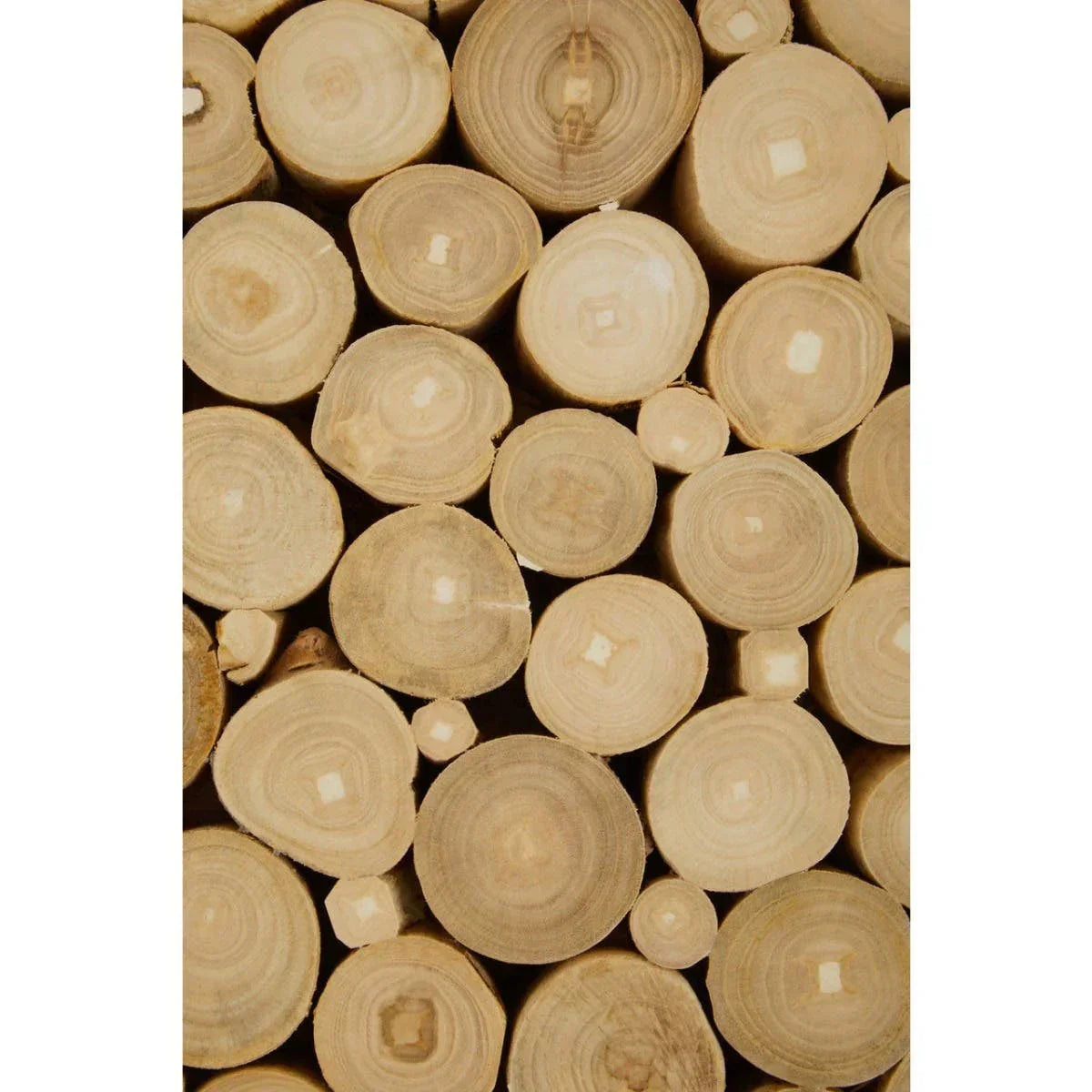 stacked cut natural wood logs with visible grain and rings, close-up texture