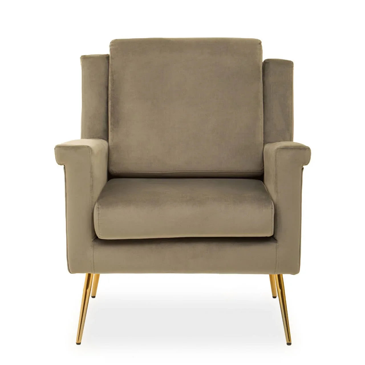 Luxe Mink Velvet Armchair