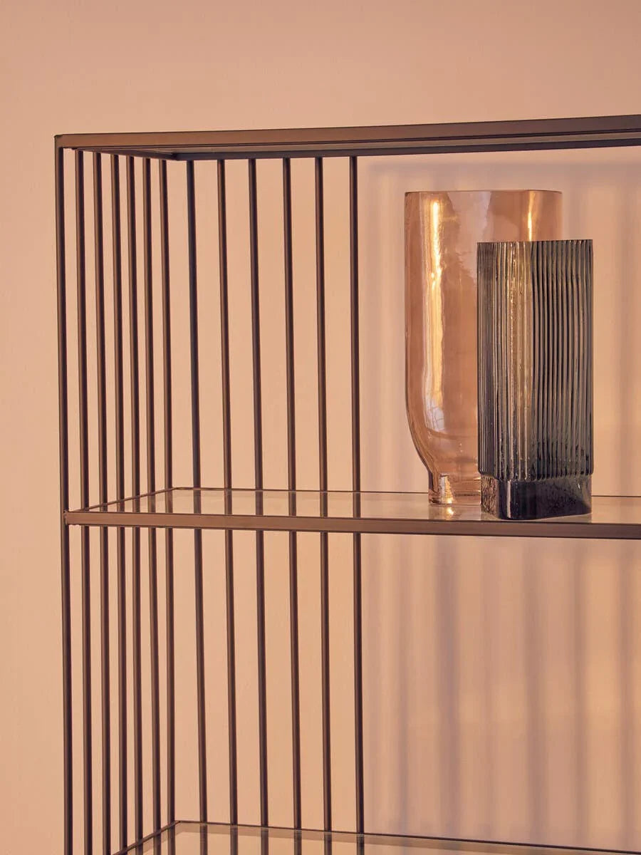 Sleek Iron Glass Bookshelf