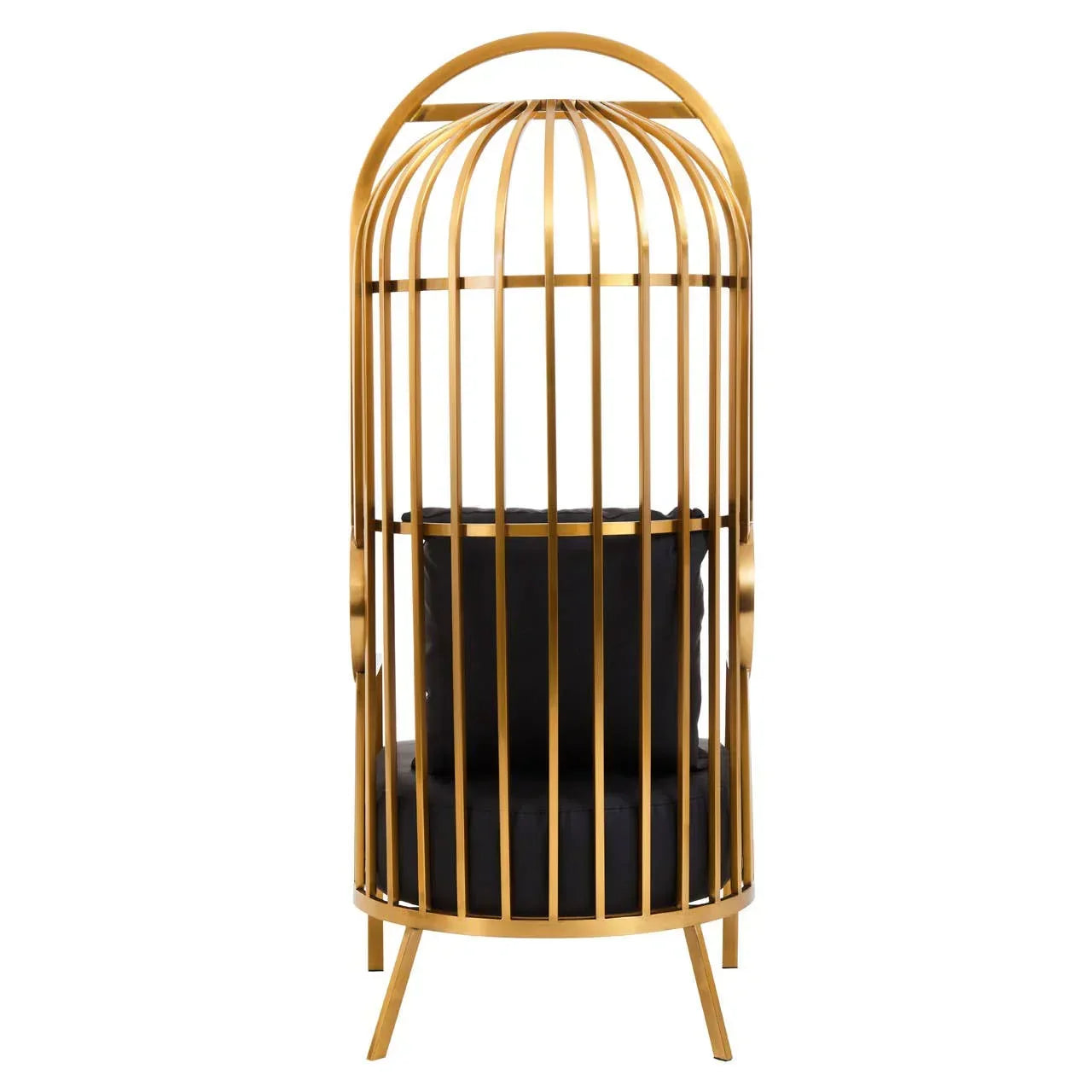 Gold metal cage chair with black cushion, front view, modern accent furniture