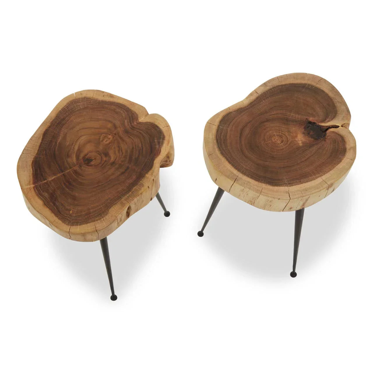 Pair of natural wood side tables with black metal legs and rustic tree slice tops