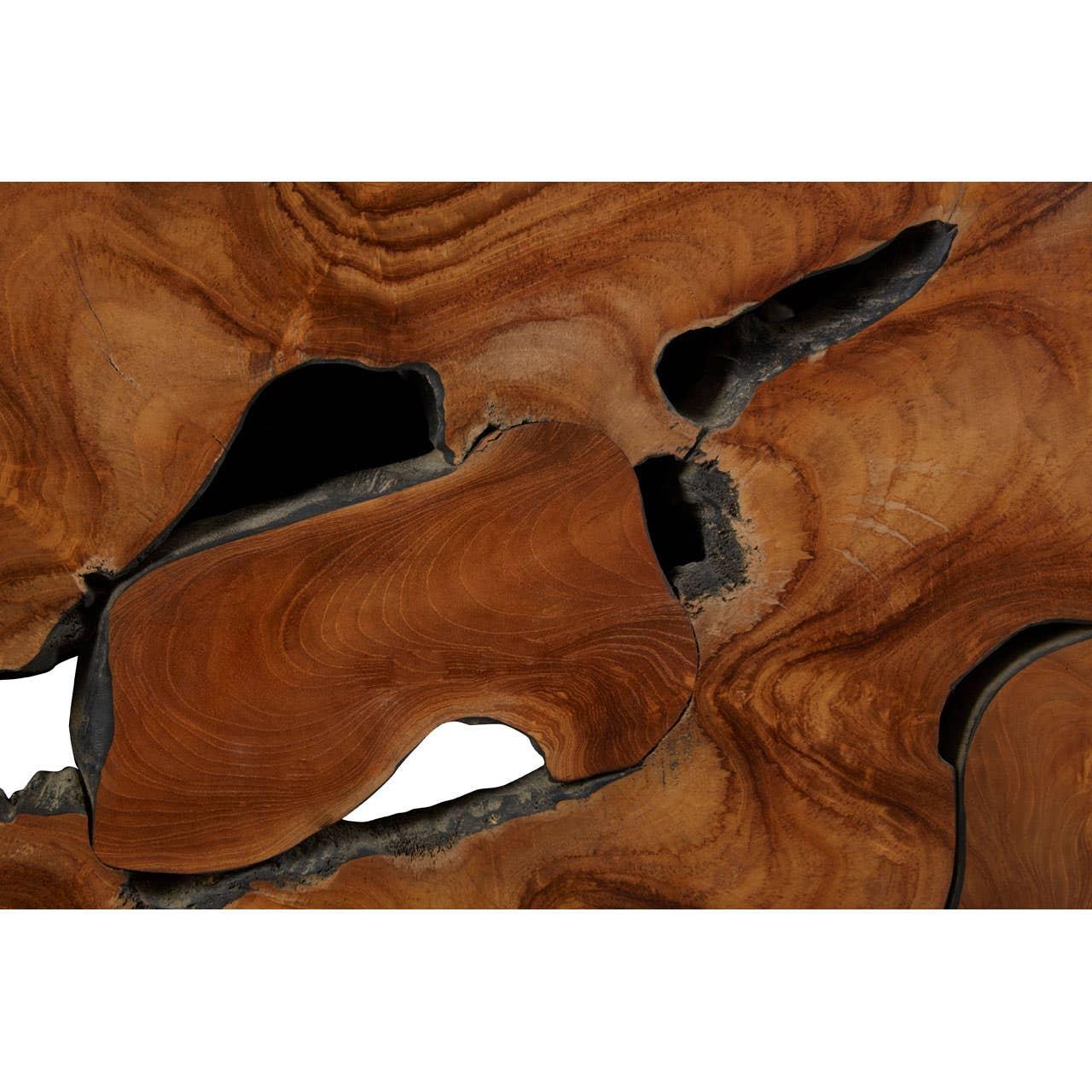 Teak Root Coffee Table