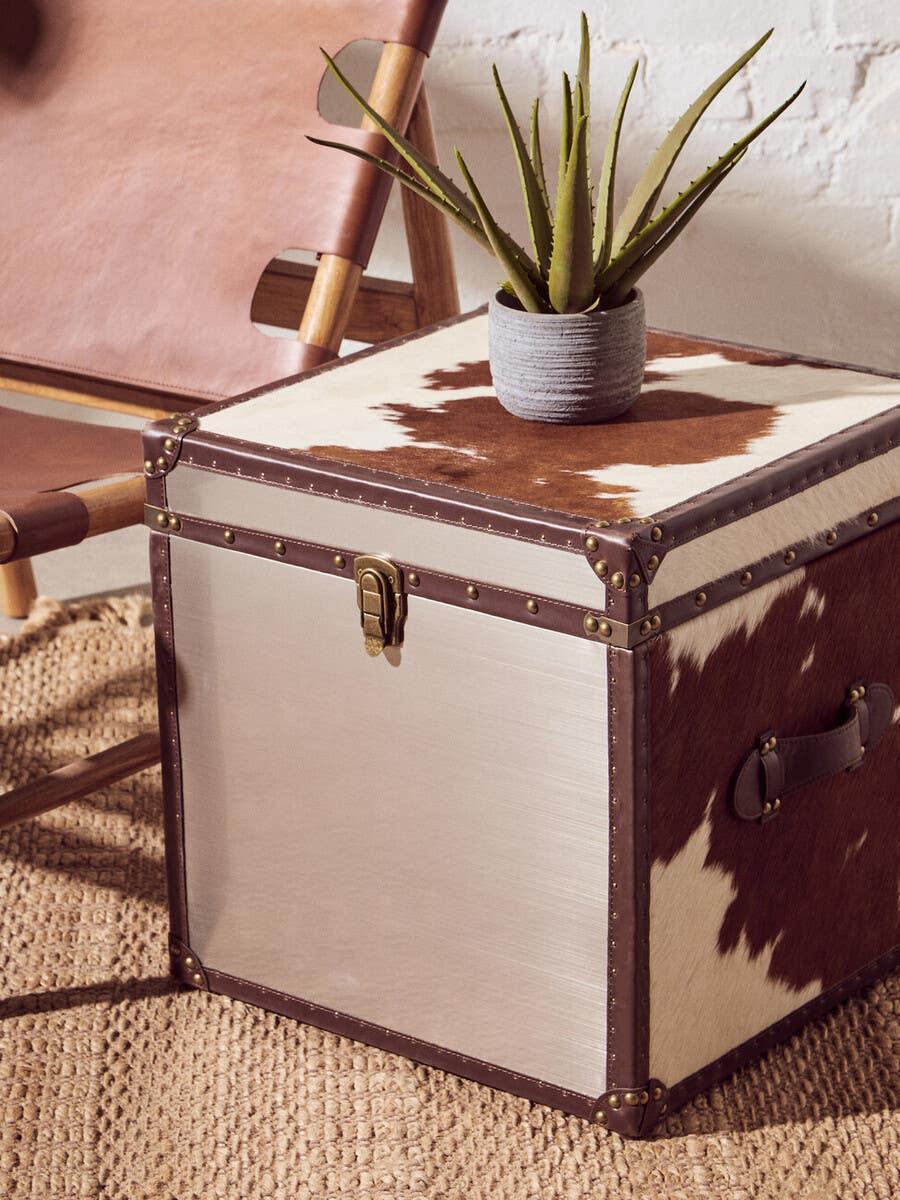 Cowhide storage chest with metal panel, leather accents, and potted plant on woven rug