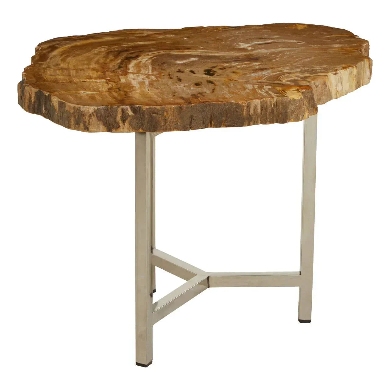 Petrified wood side table with natural edge and metal base, angled front view